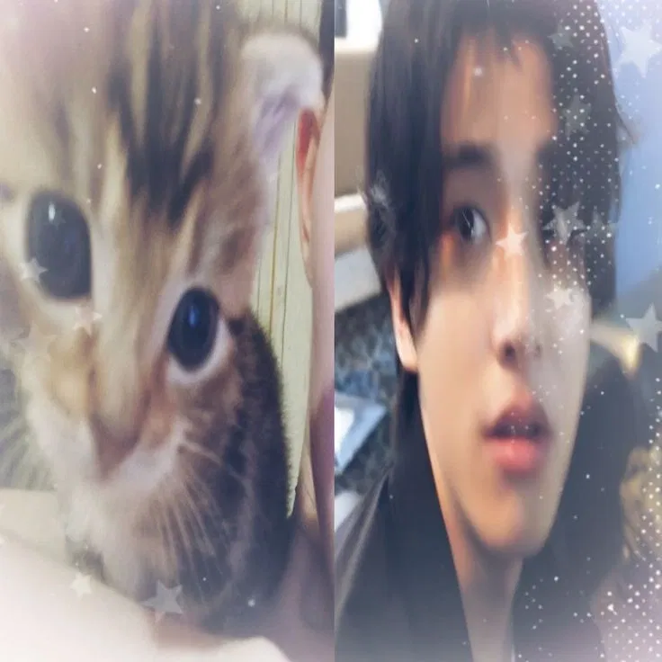 Avatar of Sim Jaeyun