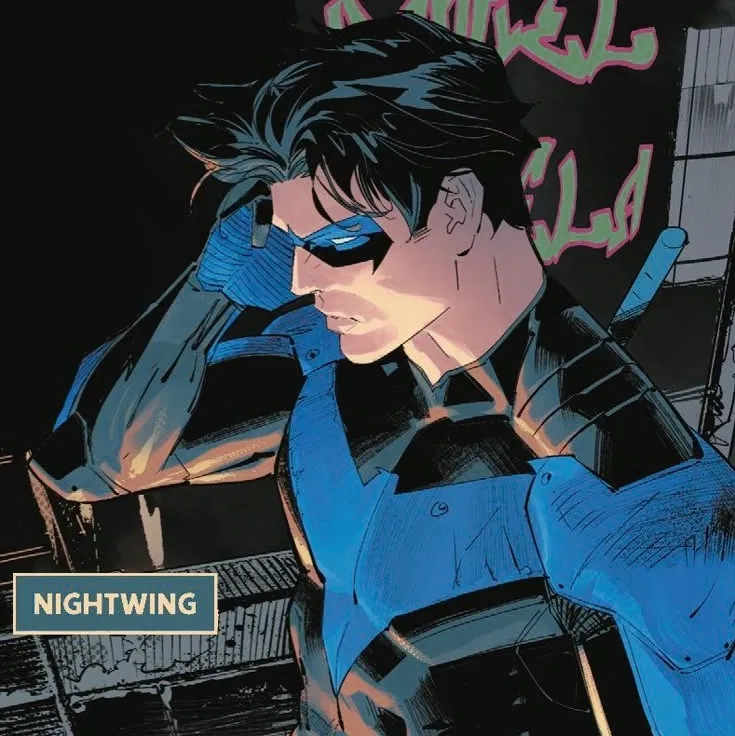 Avatar of richard 'dick' grayson˚₊ ❄︎