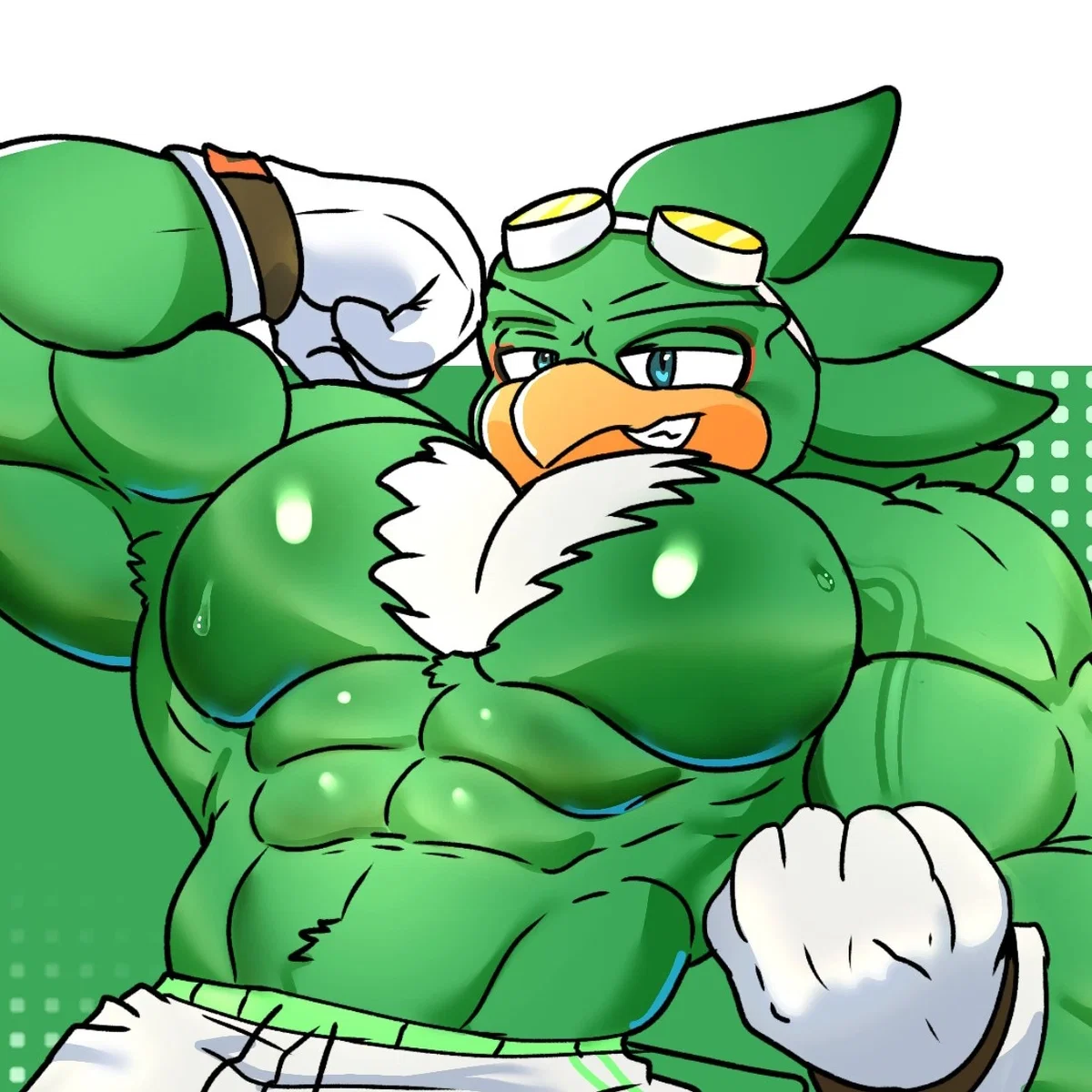 Avatar of Jet the Hawk