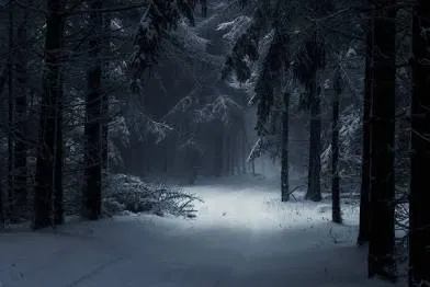 Avatar of The Snowy Forest