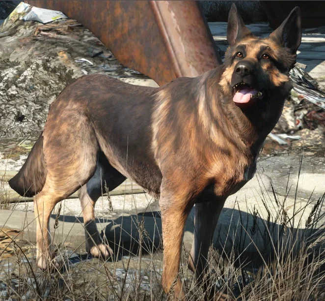 Avatar of Dogmeat