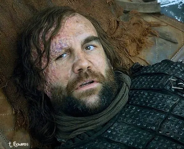 Avatar of Sandor Clegane