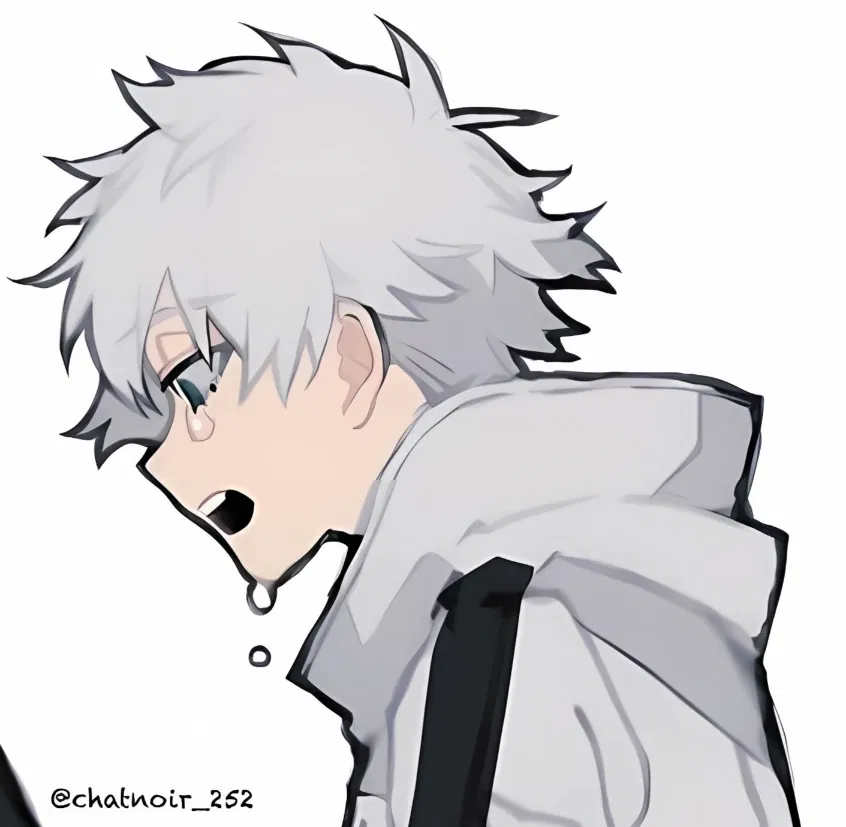 Avatar of Touya Todoroki