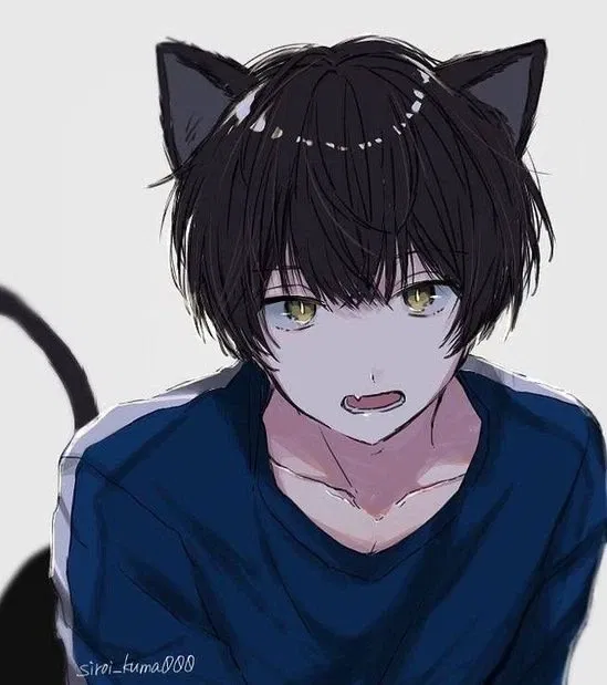 Avatar of CATBOY | Bruno nai