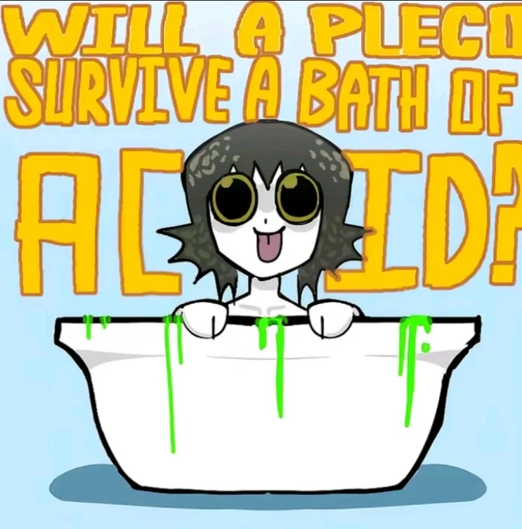 Avatar of Pleco chan 