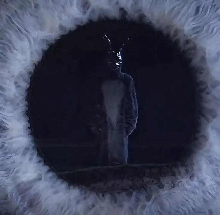 Avatar of Donnie Darko