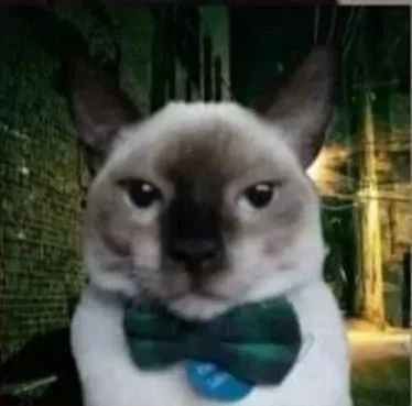 Avatar of So uhh, Sneaks and smth like