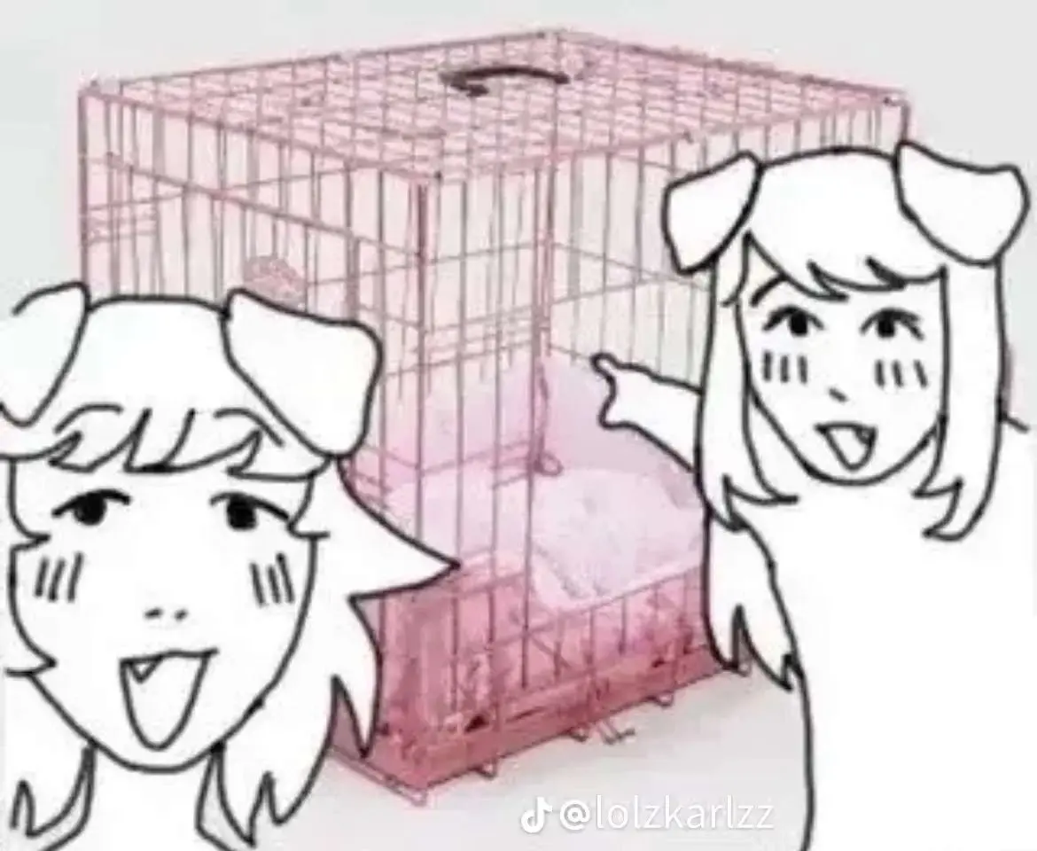 Avatar of Pet Playing Roomie