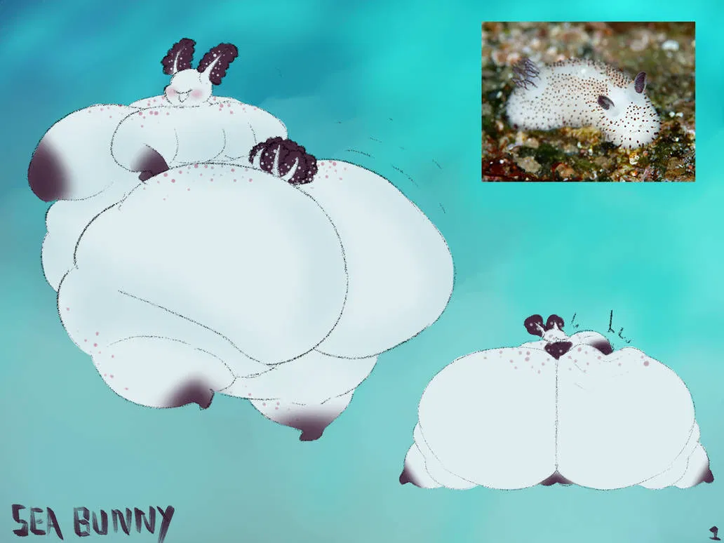Avatar of A sea bunny?!? SWEET