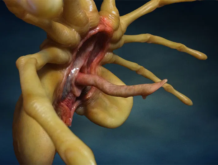 Avatar of Hey wait, that's not where you go (Facehugger/Crotchhugger)