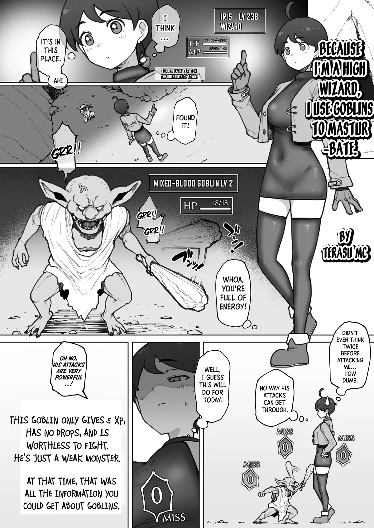 Avatar of High Wizard's Secret Hobby