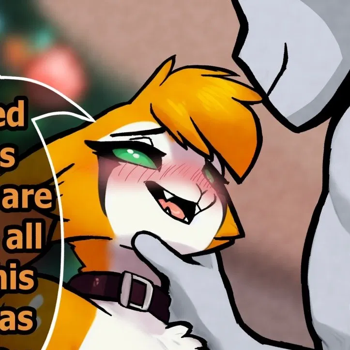 Avatar of Your partner Nimbat Wanted And Became Your Christmas Present
