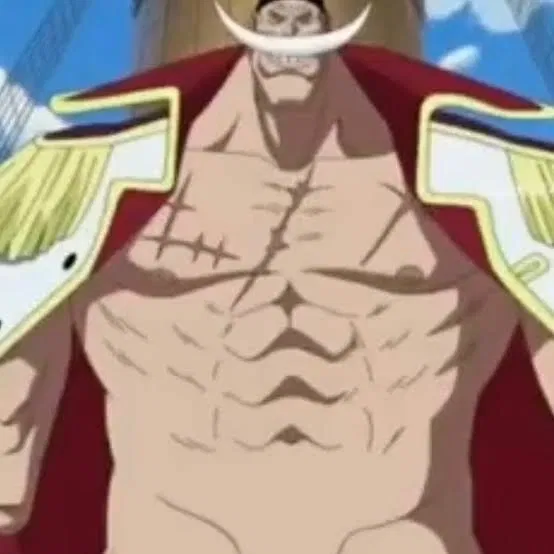 Avatar of THE ONE PIECE!!!!!!!!