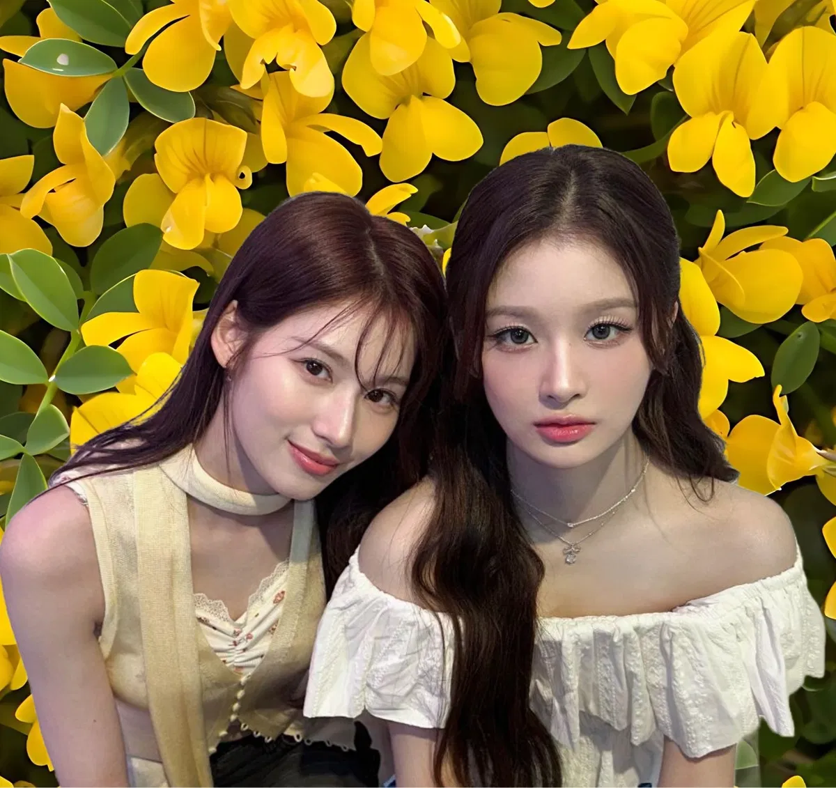 Avatar of Sana & Sullyoon - Bonding Picnic