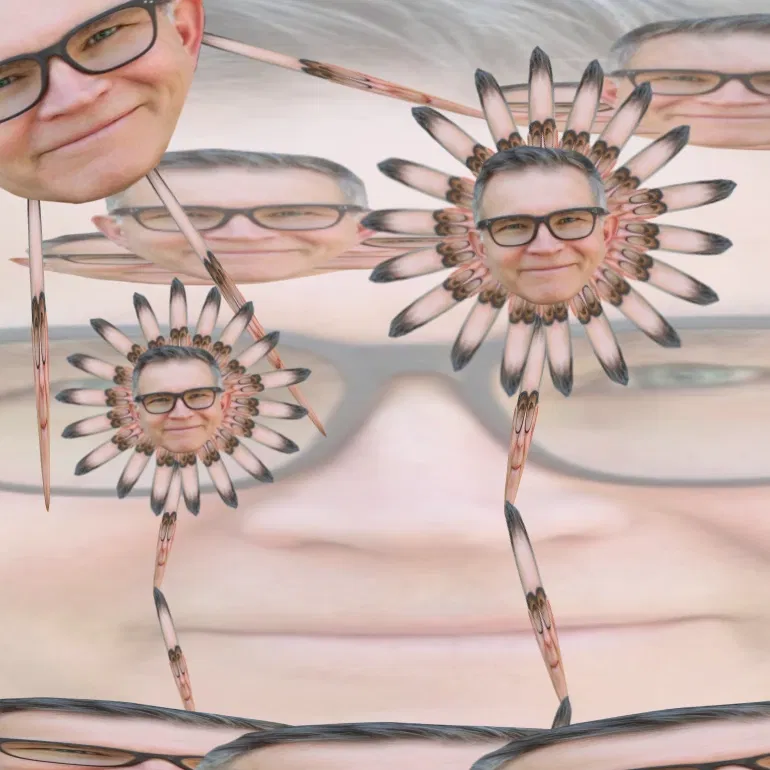 Avatar of Kingdom shitter thing (  UPDATE CANCELED 😞)