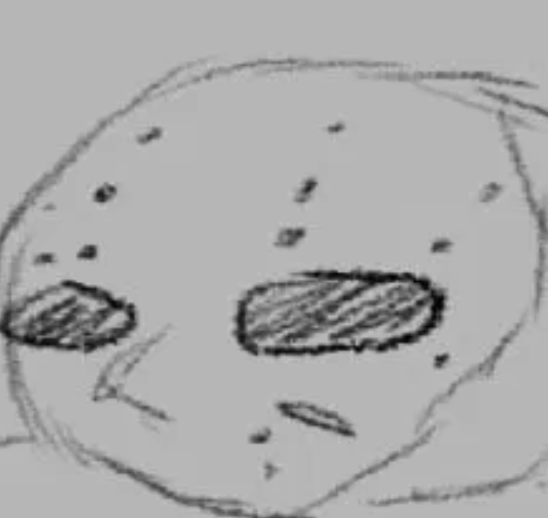 Avatar of Jason || FORSAKEN