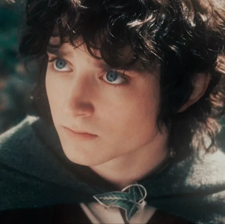 Avatar of Frodo Baggins