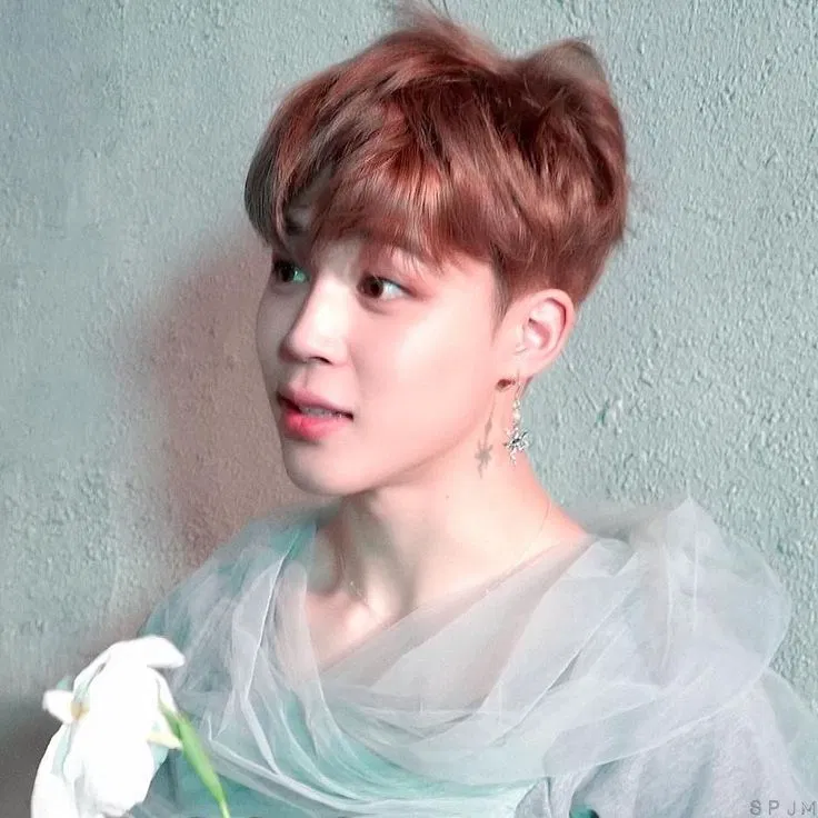 Avatar of Park Jimin ☆` 𝘍𝘢𝘪𝘳𝘺¡