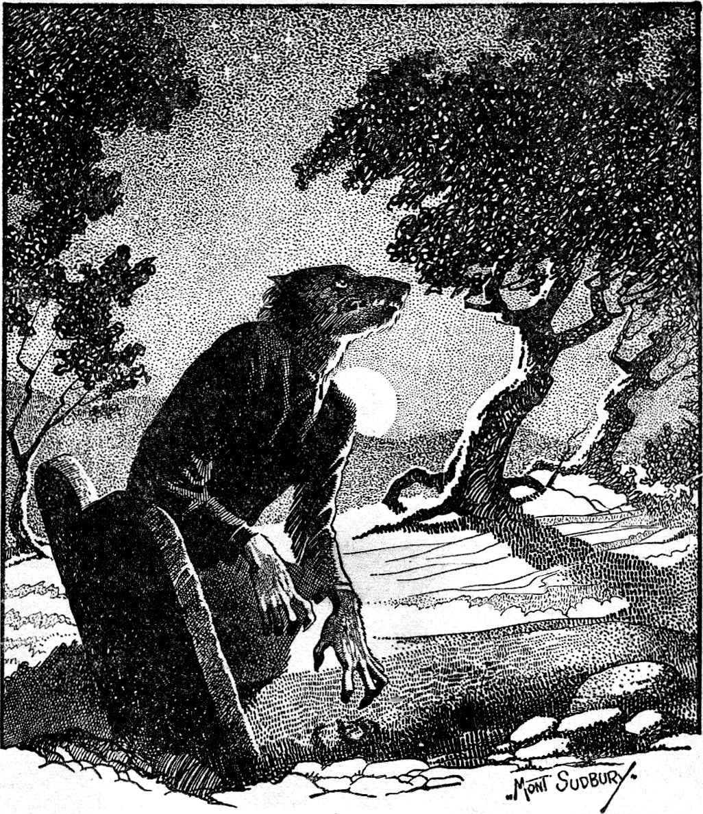 Avatar of 𝙈𝙖𝙭𝙞𝙢𝙞𝙡𝙞𝙖𝙣 | 𝙈𝙚𝙚𝙩𝙞𝙣𝙜