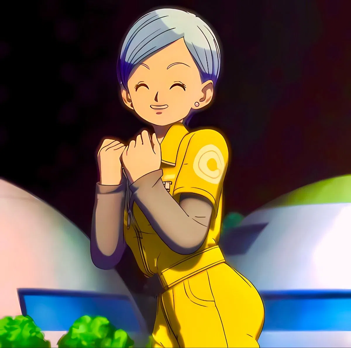 Avatar of Bulma Brief