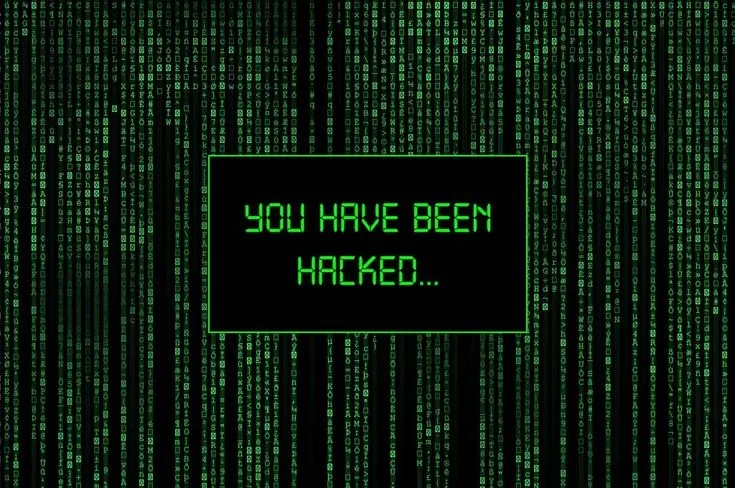 Avatar of ⋮ ⌗ ┆Exposed.exe ‧₊˚ ┊