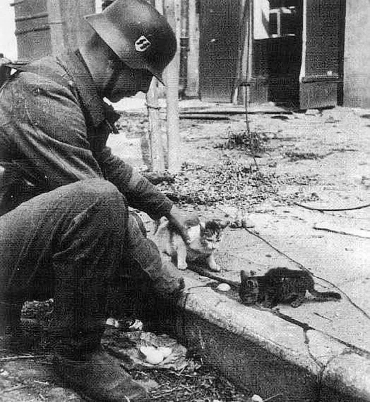 Avatar of German soldier ¦ Martin Maximilian Kern