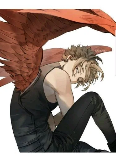 Avatar of Spring Hawks 