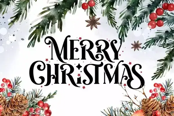 Avatar of Merry christmas