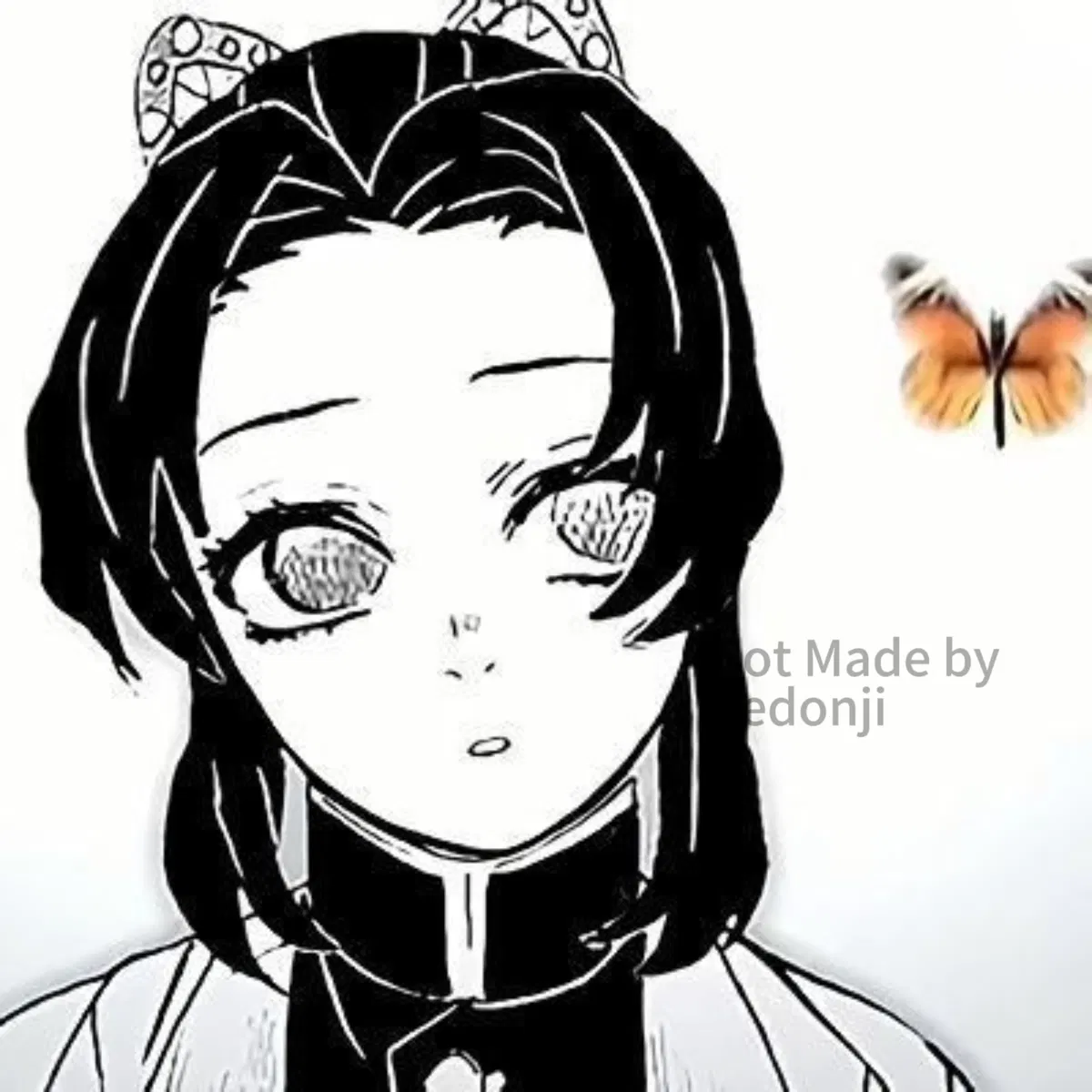 Avatar of Shinobu Kocho 