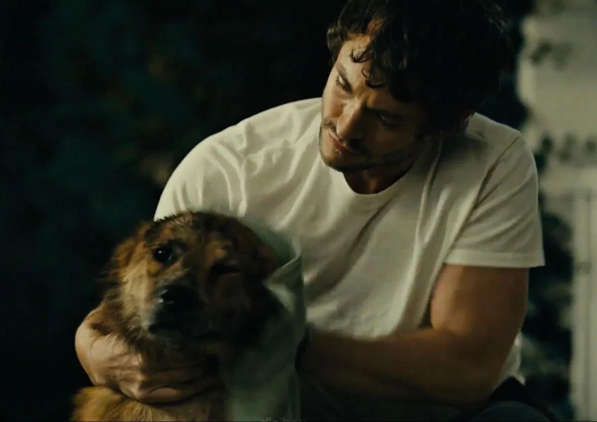 Avatar of Will Graham ⋆ ̊࿔