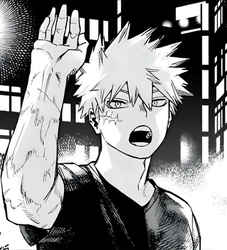 Avatar of 𐔌   .  ⋮ Katsuki Bakugo .ᐟ  ֹ   ₊ ꒱