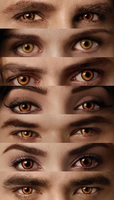 Avatar of The Cullens