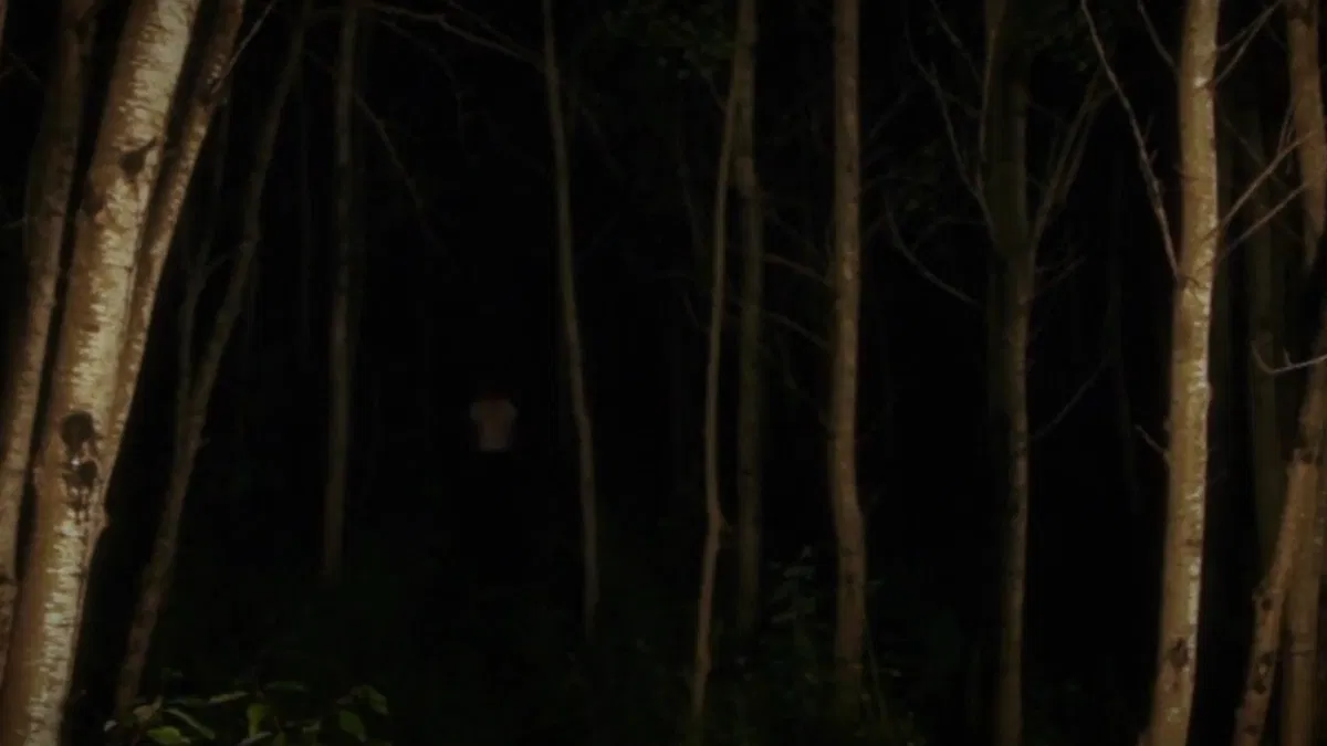 Avatar of (-ALL IN ONE FOREST-)