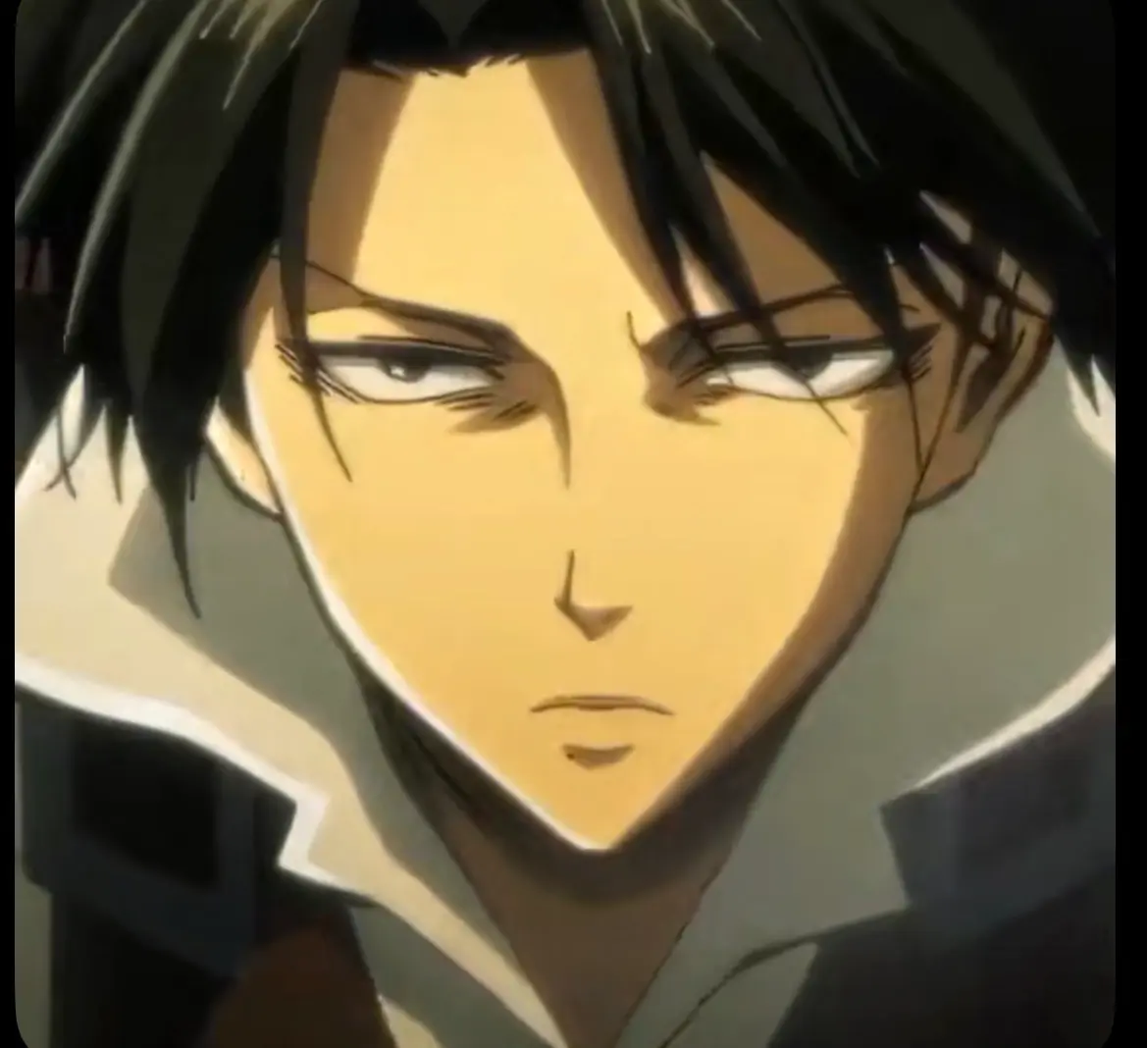 Avatar of Levi arckerman brother 