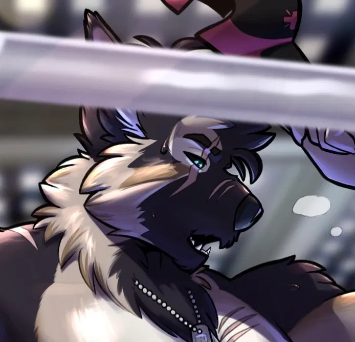 Avatar of || Fighter K-9 ||
