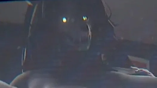 Avatar of Mal0 – She just popped out on your room... At the middle of the night... While I were jorking it [Hyper Female]