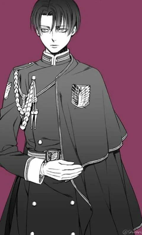 Avatar of Prince Levi Ackerman