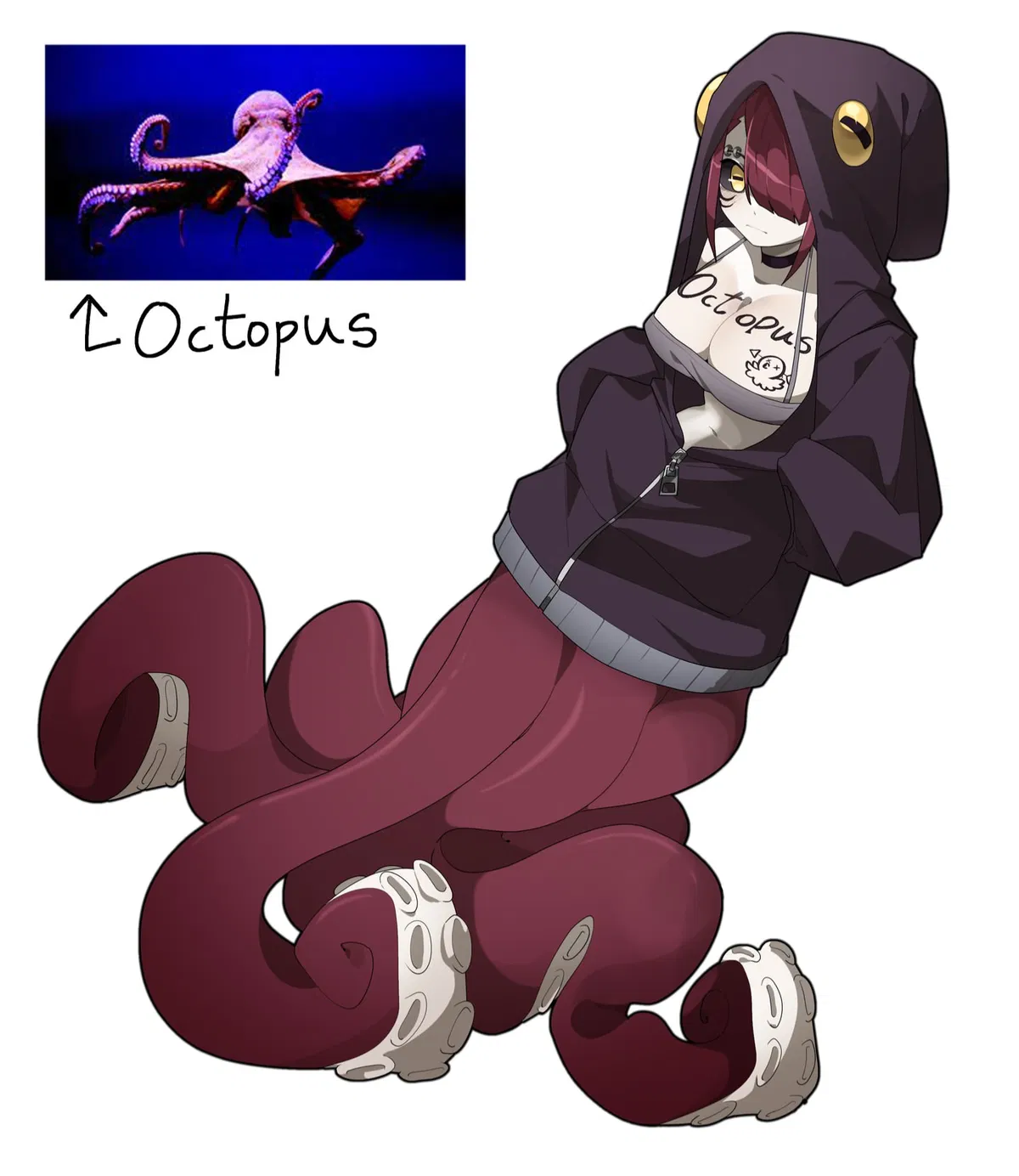 Avatar of Octopus Roommate