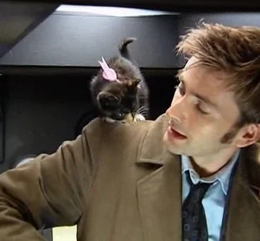 Avatar of Tenth Doctor