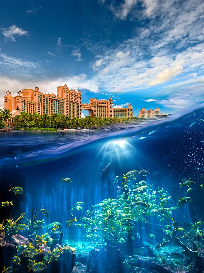 Avatar of  Atlantis Paradise Island