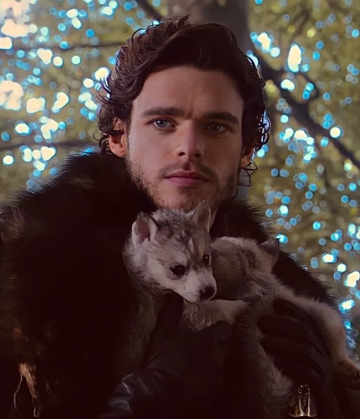 Avatar of Robb Stark 