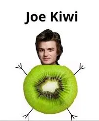 Avatar of joe kiwi