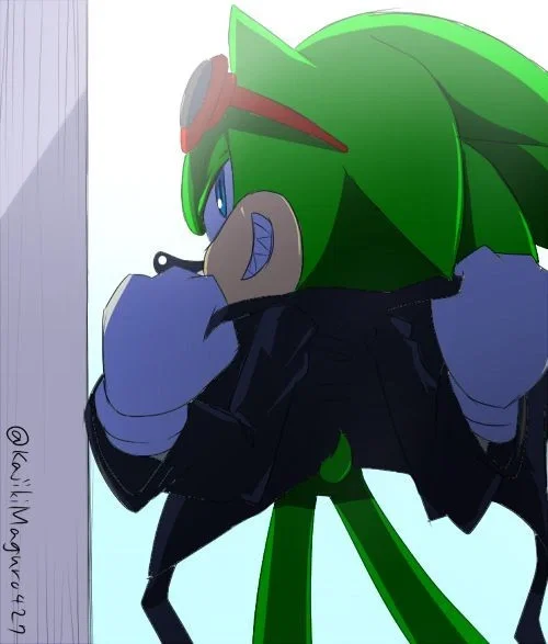 Avatar of Scourge the Hedgehog