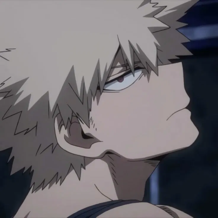 Avatar of °•☆ My Hero Academia ☆•°