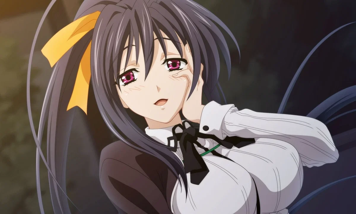 Avatar of Akeno Himejima: Wish