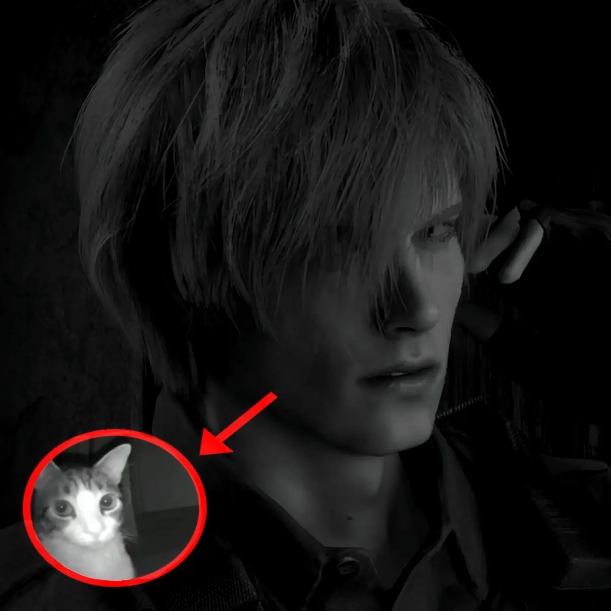 Avatar of INJURED | Leon Kennedy