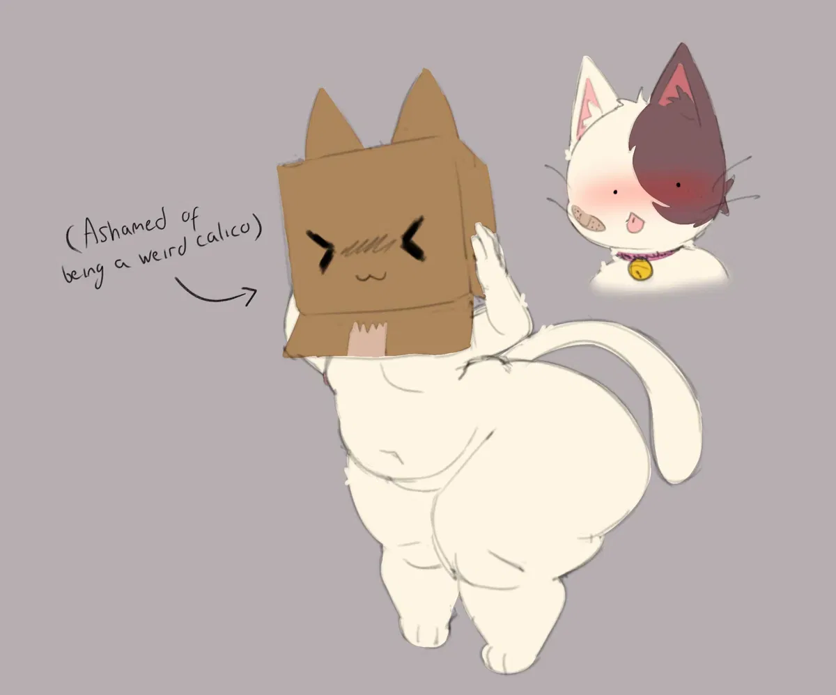 Avatar of shy calico cat in your area!!