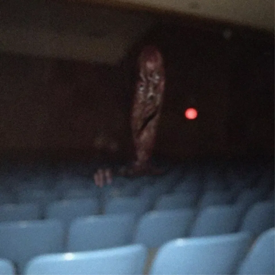 Avatar of starliner cinema