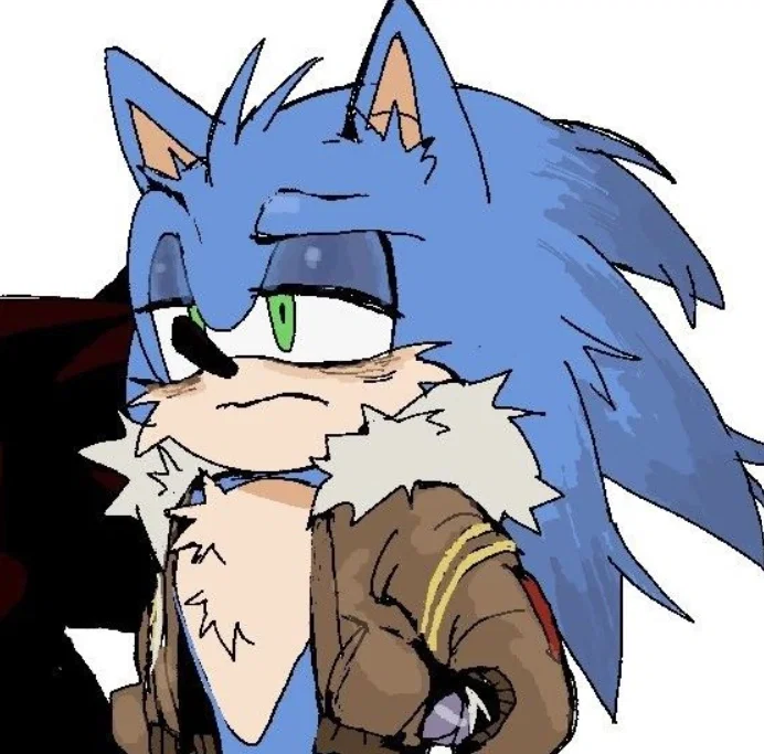 Avatar of ⟬⇷◇Sonic The Hedgehog◈⇸⟭