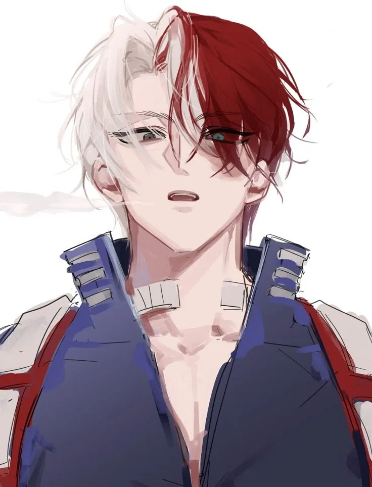 Avatar of Completely in love | Shoto Todoroki